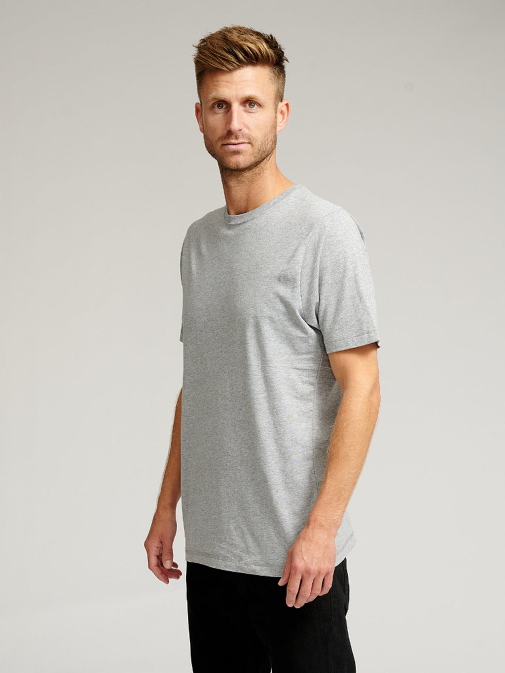 Organic Basic T-shirt - Gray (C.D)