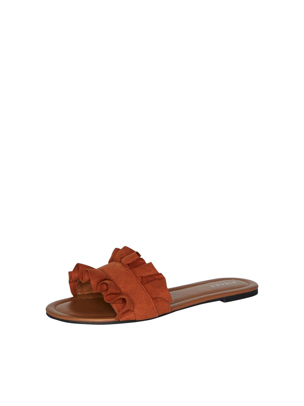 Nola sandalera - Kokosova školjka